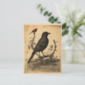 ヴィンテージレイブン&レッドバード ポストカード (スタンド正面)