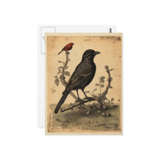 ヴィンテージレイブン&レッドバード ポストカード