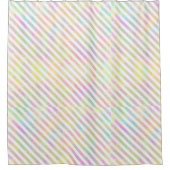 ヴィンテージレインボープライド シャワーカーテン (正面)