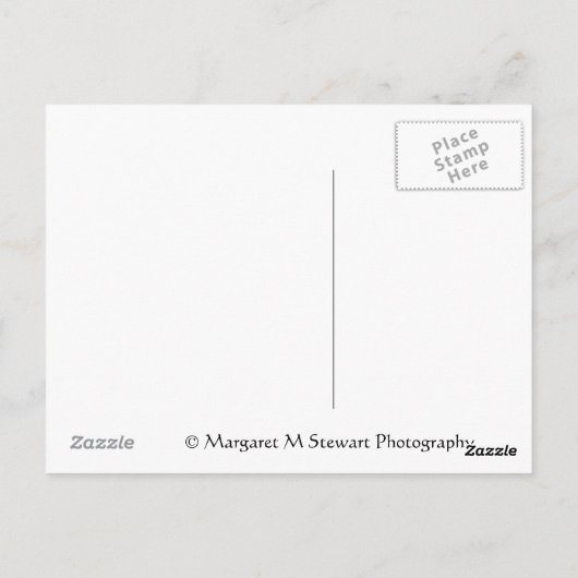 ヴィンテージレシピ ポストカード (裏面)