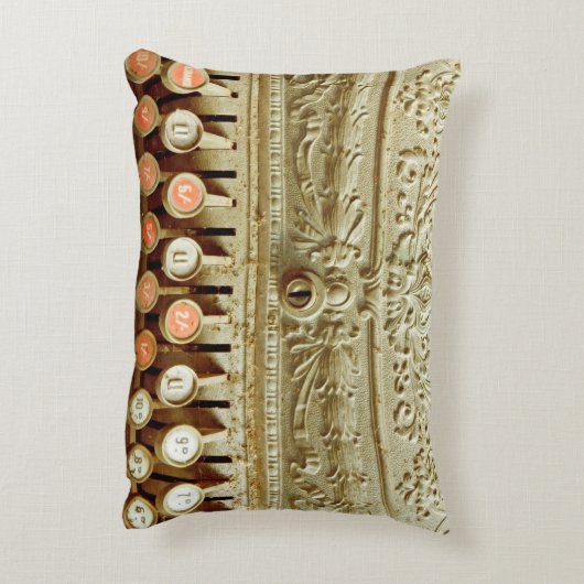 ヴィンテージレジ、ほこりとクモの巣で覆われる アクセントクッション (裏面(縦))