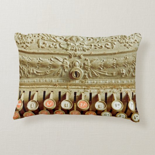 ヴィンテージレジ、ほこりとクモの巣で覆われる アクセントクッション (裏面)