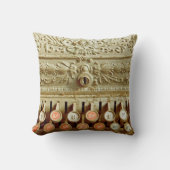 ヴィンテージレジ、ほこりとクモの巣で覆われる クッション (正面)