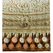 ヴィンテージレジ、ほこりとクモの巣で覆われる シャワーカーテン (正面)