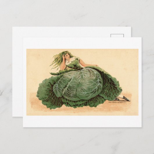 ヴィンテージレタス/キャベツドレス ポストカード (正面/裏面)