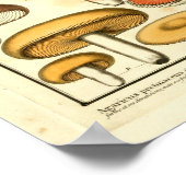 ヴィンテージレッドイエローグリーンマッシュルームフランスのプリント ポスター (角)