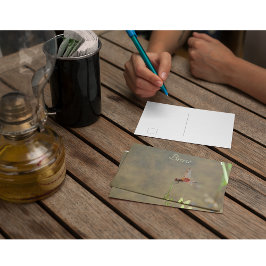 ヴィンテージレッドカブトトンボカスタムボタニカルノート ポストカード