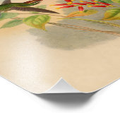 ヴィンテージレッドグリーンハミングバードプリント花 フォトプリント            (角)