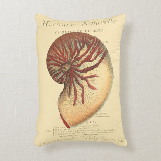 ヴィンテージレッドコンチシェル アクセントクッション (正面(垂直))