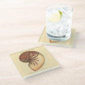 ヴィンテージレッドコンチシェル ガラスコースター (アングル)