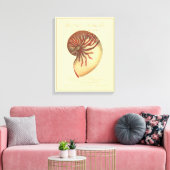 ヴィンテージレッドコンチシェル キャンバスプリント (インサイチュ (リビング))