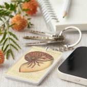 ヴィンテージレッドコンチシェル キーホルダー (正面右)