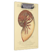 ヴィンテージレッドコンチシェル クリップボード (右)