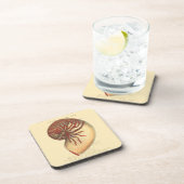 ヴィンテージレッドコンチシェル コースター (右側)