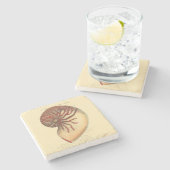 ヴィンテージレッドコンチシェル ストーンコースター (横)