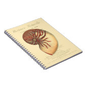 ヴィンテージレッドコンチシェル ノートブック (右側)