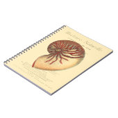 ヴィンテージレッドコンチシェル ノートブック (左側)