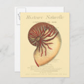 ヴィンテージレッドコンチシェル ポストカード (正面/裏面)