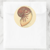 ヴィンテージレッドコンチシェル ラウンドシール (バッグ)