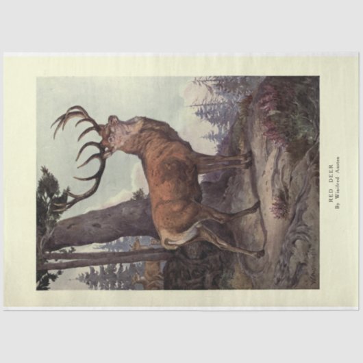 ヴィンテージレッドディアスタグエフエメラデクページ 薄葉紙 (正面)