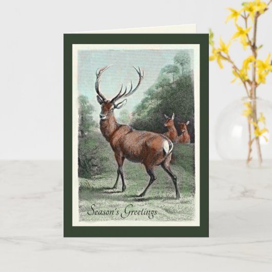 ヴィンテージレッドディアスタッグとグリーティ空白のングカード カード (黄色い花)