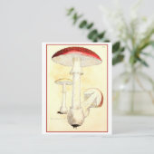 ヴィンテージレッドトースツール/キノコイラストレーション ポストカード (スタンド正面)