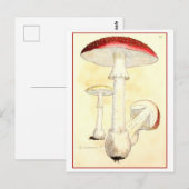 ヴィンテージレッドトースツール/キノコイラストレーション ポストカード (正面/裏面)