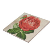 ヴィンテージレッドハイブリッド永久バラ タイル (側面)