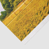 ヴィンテージレッドバーンデカッペティッシュペーパー 薄葉紙 (詳細)