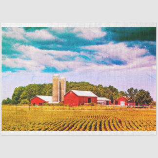 ヴィンテージレッドバーンデカッペティッシュペーパー 薄葉紙