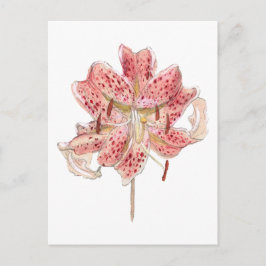 ヴィンテージレッドフラワースケッチバイサミュエル・コルマン ポストカード