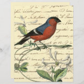 ヴィンテージレッドブルーバードエフエメラスクラップブック紙 (正面/裏面)