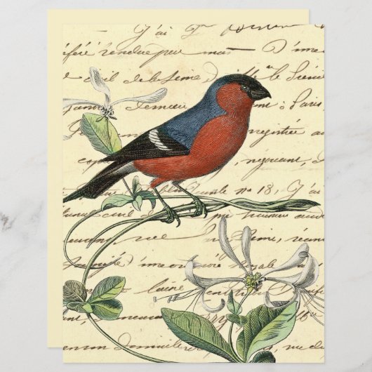 ヴィンテージレッドブルーバードエフエメラスクラップブック紙 (正面/裏面)