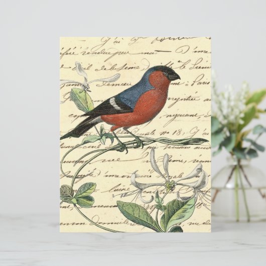 ヴィンテージレッドブルーバードエフエメラスクラップブック紙 (スタンド正面)