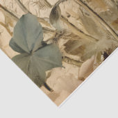 ヴィンテージレッドポピー&バタフライボタニカルデクページ 薄葉紙 (詳細)