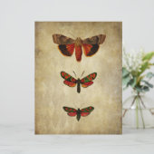 ヴィンテージレッドモススクラップブック紙 (スタンド正面)