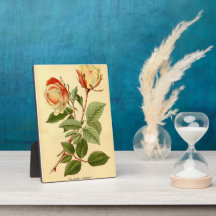 ヴィンテージレッドレモンイエローフローラティーバラサフラノ