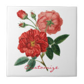 ヴィンテージレッドローズイラストレーションサンダーコーブ タイル (正面)