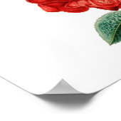 ヴィンテージレッドローズイラストレーションサンダー_コーブ ポスター (角)