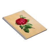 ヴィンテージレッドローズオンフェイクタンパーチメント背景 ノートブック (右側)