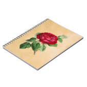 ヴィンテージレッドローズオンフェイクタンパーチメント背景 ノートブック (左側)