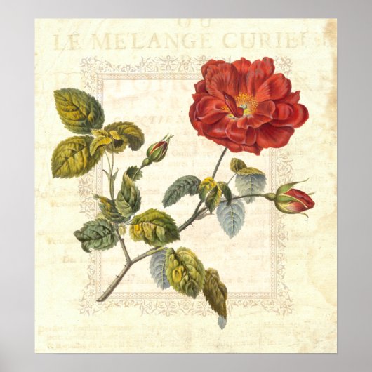 ヴィンテージレッドローズカントリーコテージ ポスター (正面)