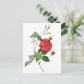 ヴィンテージレッドローズフローラはがき ポストカード (スタンド正面)