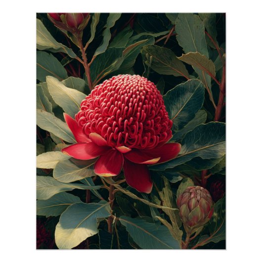 ヴィンテージレッドワラタ植物芸術 ポスター (正面)