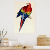 ヴィンテージレッド&イエローマカオパロットバイエドワード・リア ポスター (キッチン)