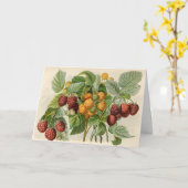 ヴィンテージレッド&イエローラズベリーイラストレーション カード (黄色い花)