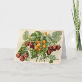 ヴィンテージレッド&イエローラズベリーイラストレーション カード