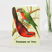 ヴィンテージレッド&カラフルグリーンパロッツイラストレーション カード (正面)