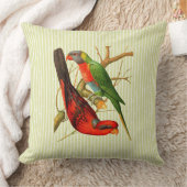 ヴィンテージレッド&カラフルグリーンパロッツイラストレーション クッション (ブランケット)