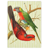 ヴィンテージレッド&カラフルグリーンパロッツイラストレーション クリップボード (裏面)